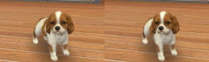 3D Photo 3