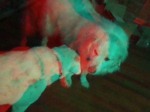 3D Photo 1