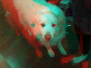3D Photo 2
