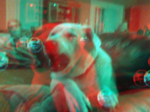 3D Photo 7