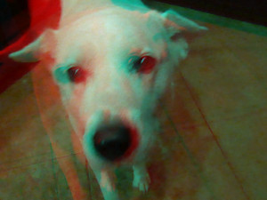 3D Photo 5