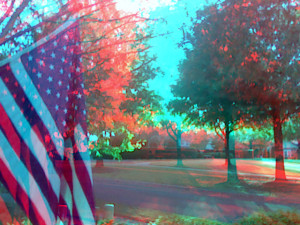 3D Photo 4