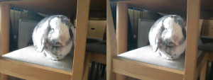 3D Photo 4