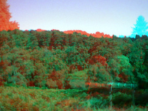 3D Photo 11