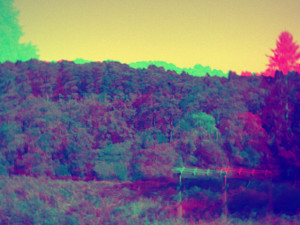 3D Photo 10