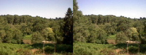 3D Photo 12