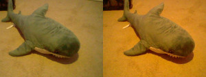3D Photo 2