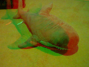 3D Photo 3