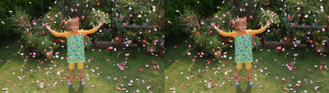 3D Photo 7
