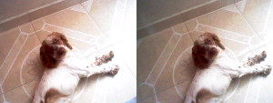 3D Photo 5