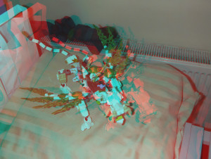 3D Photo 2