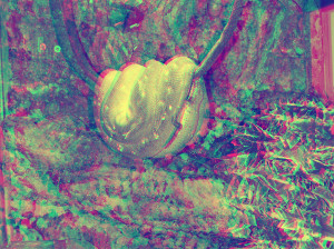 3D Photo 10