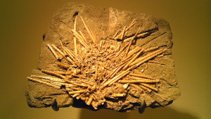 3D Photo 10