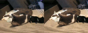 3D Photo 9