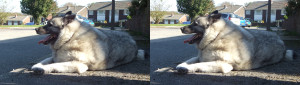 3D Photo 1