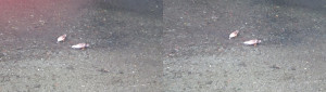 3D Photo 5