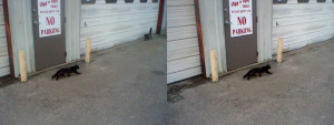 3D Photo 15
