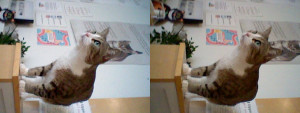 3D Photo 1