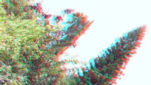 3D Photo 15