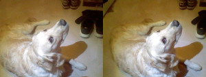 3D Photo 2