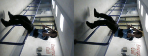 3D Photo 13
