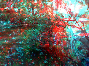 3D Photo 4