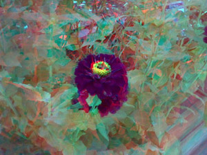 3D Photo 8