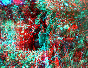3D Photo 11