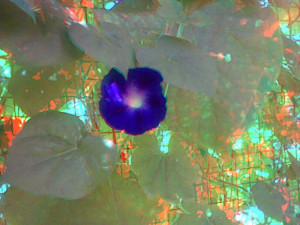 3D Photo 14