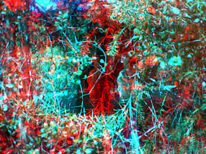 3D Photo 12