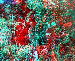 3D Photo 10