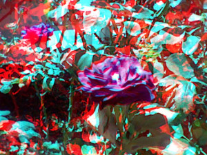 3D Photo 3