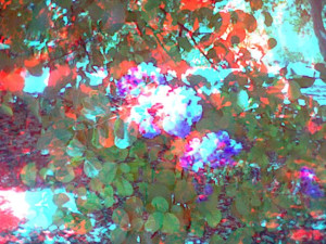 3D Photo 5