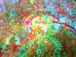 3D Photo 2