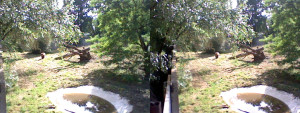 3D Photo 7