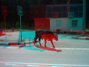 3D Photo 10