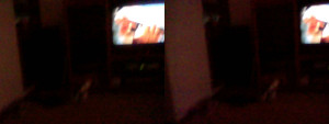 3D Photo 8