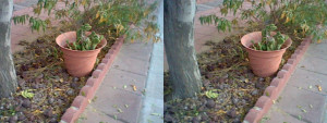3D Photo 2