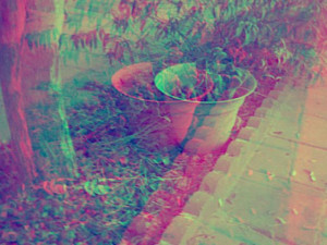 3D Photo 1