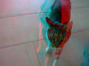 3D Photo 4