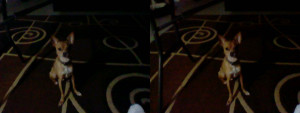 3D Photo 6