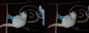 3D Photo 7