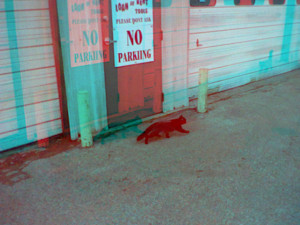 3D Photo 16