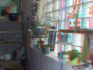 3D Photo 4